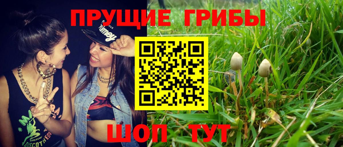 Псилоцибиновые грибы Magic Shrooms  Вход с VPN  Выкса 